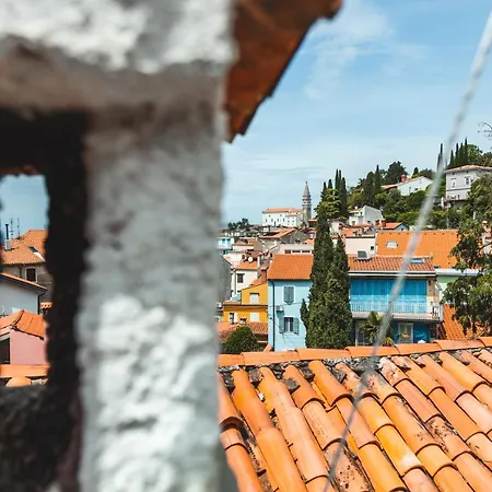 Kat-y Terrace With Excellent View Apartman *